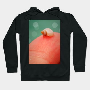 Fingerprint Sized Seashell Hoodie